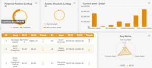 Najafi Capital Financial Dashboard